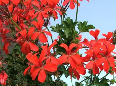 Test produit import image