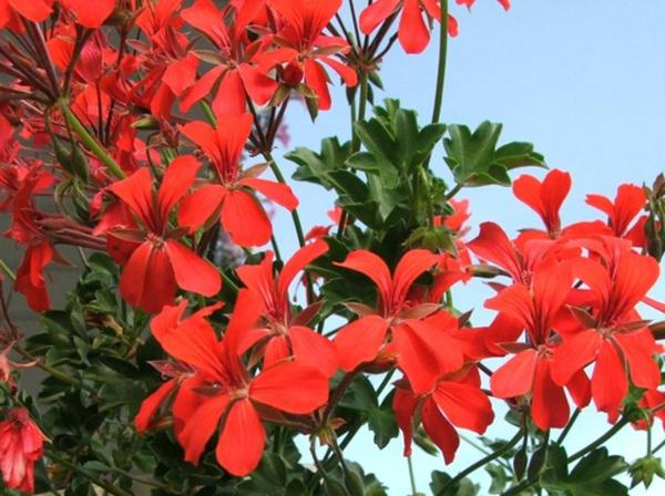 Test produit import image