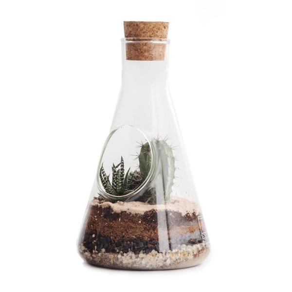 Terrarium